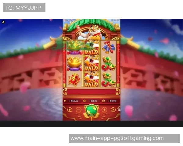 pg电子游戏外挂-揭秘PG电子游戏外挂，真相与风险-pg电子游戏外挂